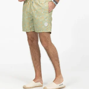 BAÑADOR ESTAMPADO OLAS VERDE SALVIA