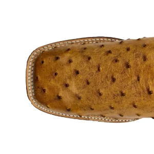 Bota Vaquera Avestruz Bulldog T26.5