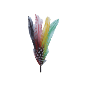 Pluma para Texana y Sombrero